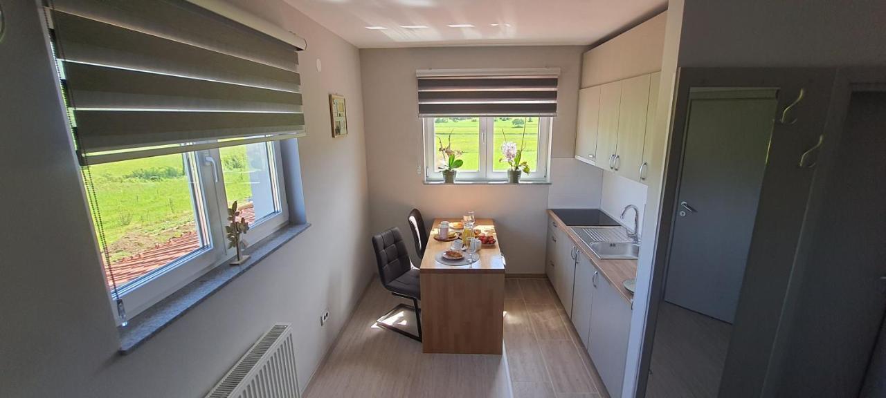 Apartmani Fenestra Tesla I Faust Otočac Exterior foto