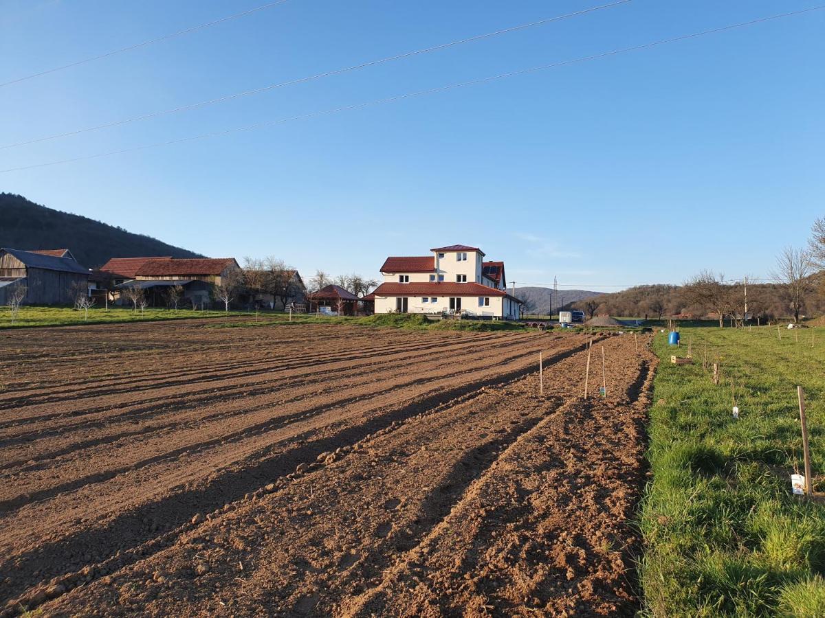 Apartmani Fenestra Tesla I Faust Otočac Exterior foto